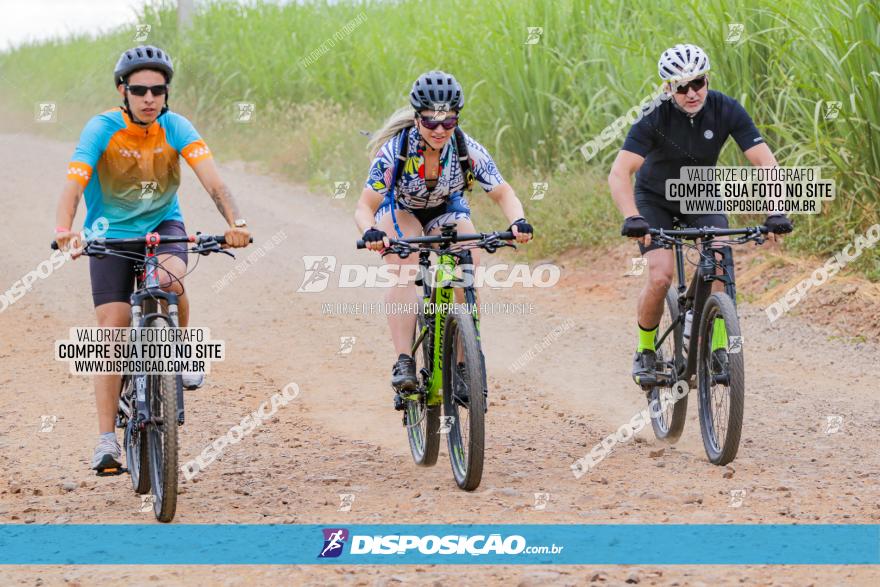 Circuito Jandaia 2021 - Edição Especial