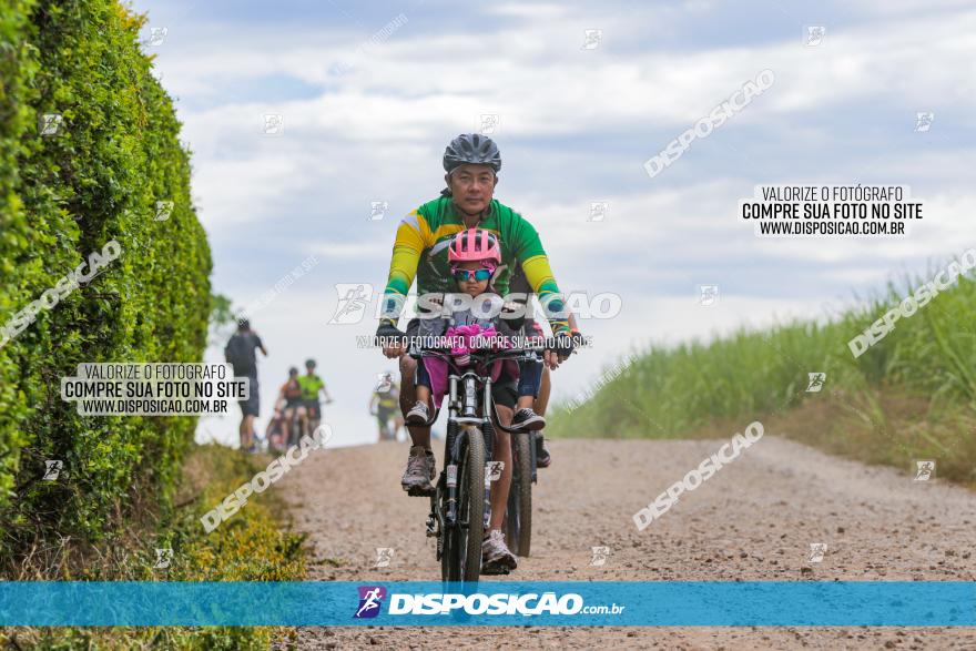 Circuito Jandaia 2021 - Edição Especial