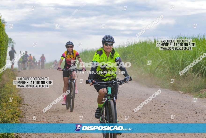 Circuito Jandaia 2021 - Edição Especial