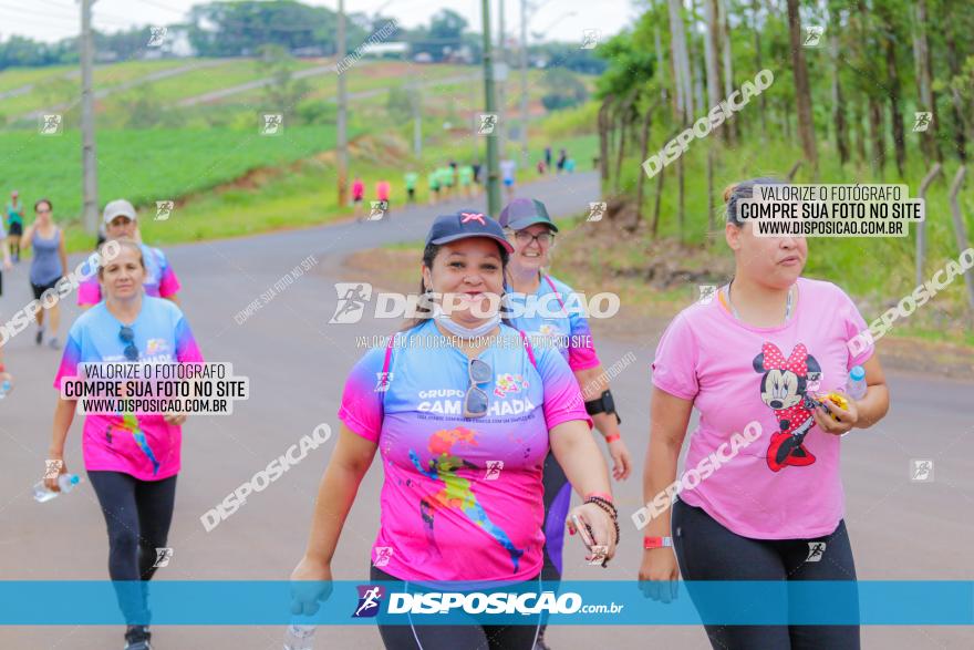 Circuito Jandaia 2021 - Edição Especial