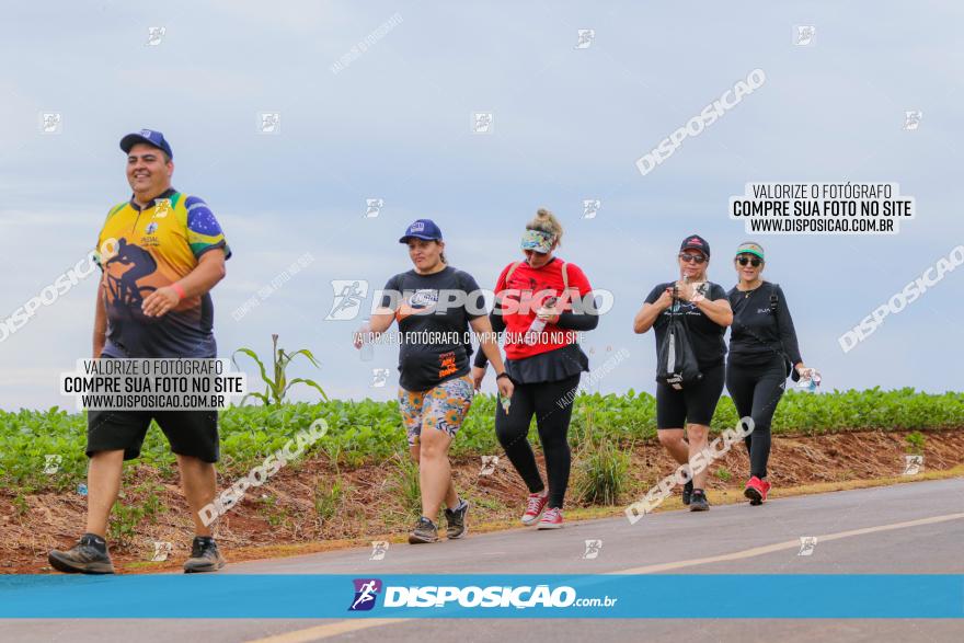 Circuito Jandaia 2021 - Edição Especial