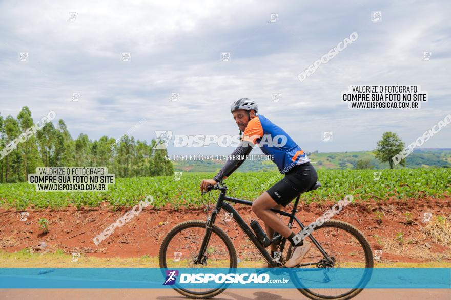 Circuito Jandaia 2021 - Edição Especial