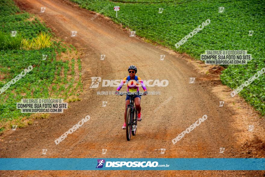 Circuito Jandaia 2021 - Edição Especial