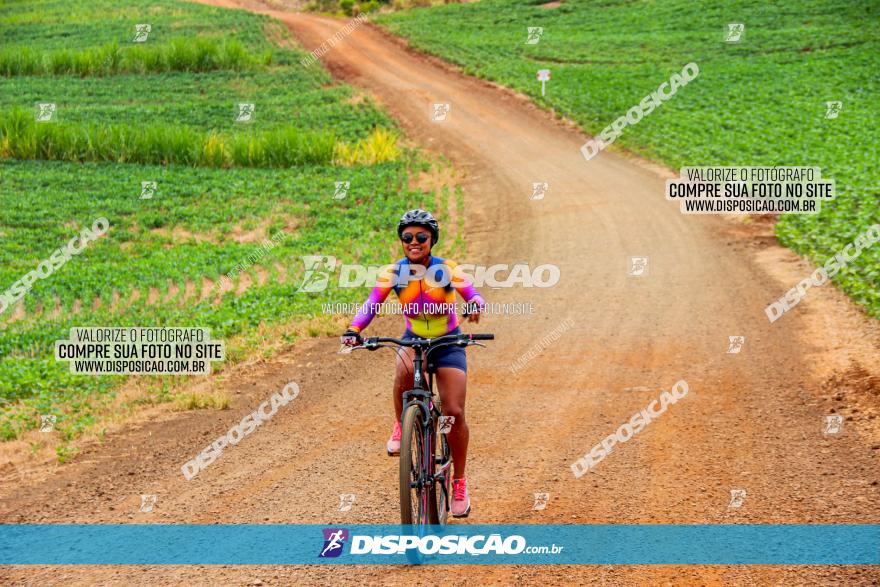 Circuito Jandaia 2021 - Edição Especial