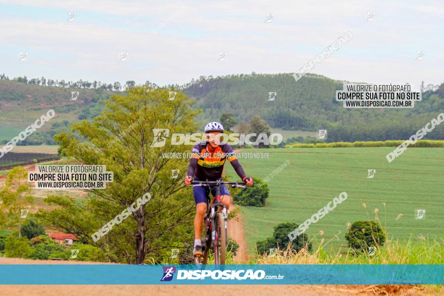 Circuito Jandaia 2021 - Edição Especial