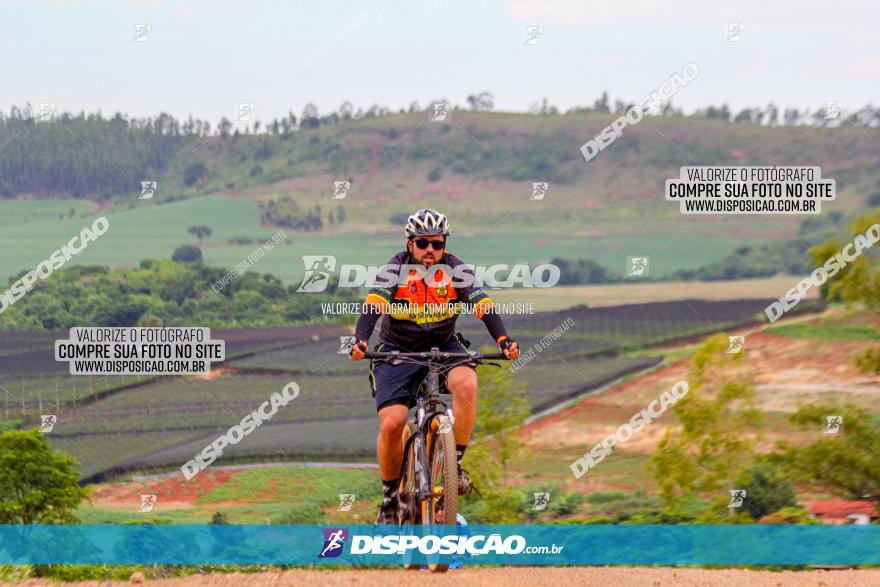 Circuito Jandaia 2021 - Edição Especial