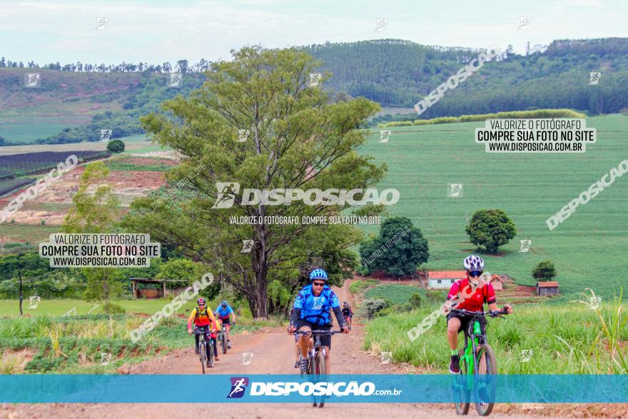 Circuito Jandaia 2021 - Edição Especial