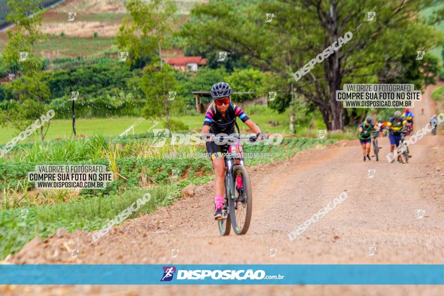 Circuito Jandaia 2021 - Edição Especial