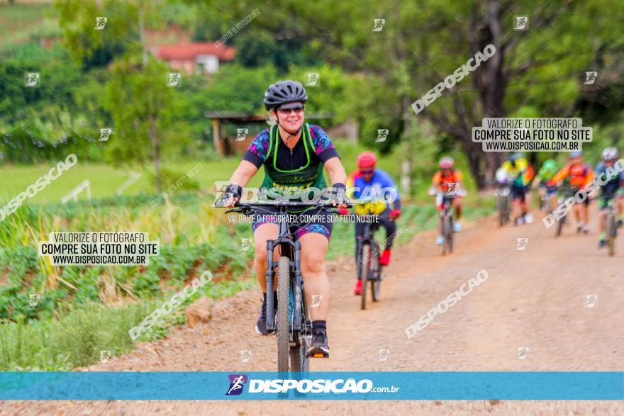 Circuito Jandaia 2021 - Edição Especial