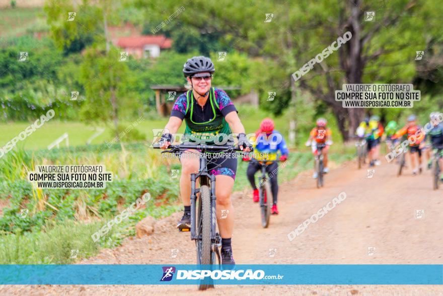 Circuito Jandaia 2021 - Edição Especial