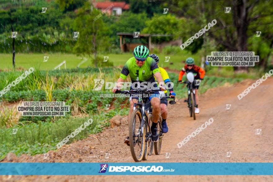 Circuito Jandaia 2021 - Edição Especial