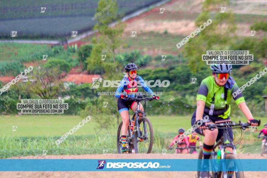 Circuito Jandaia 2021 - Edição Especial