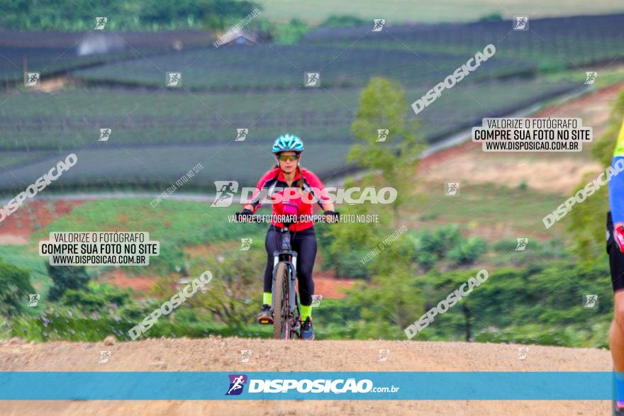 Circuito Jandaia 2021 - Edição Especial