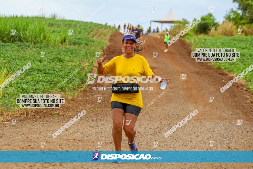 Circuito Jandaia 2021 - Edição Especial