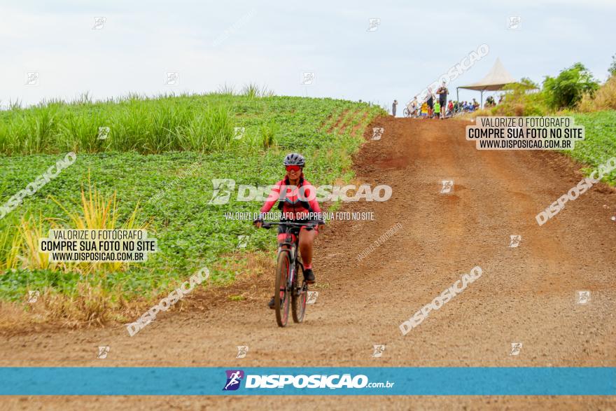 Circuito Jandaia 2021 - Edição Especial