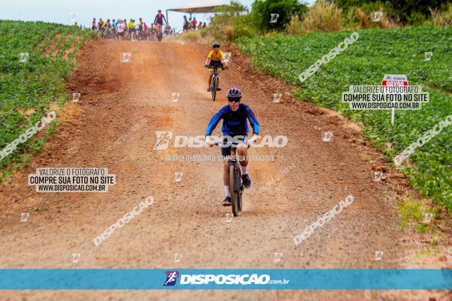 Circuito Jandaia 2021 - Edição Especial