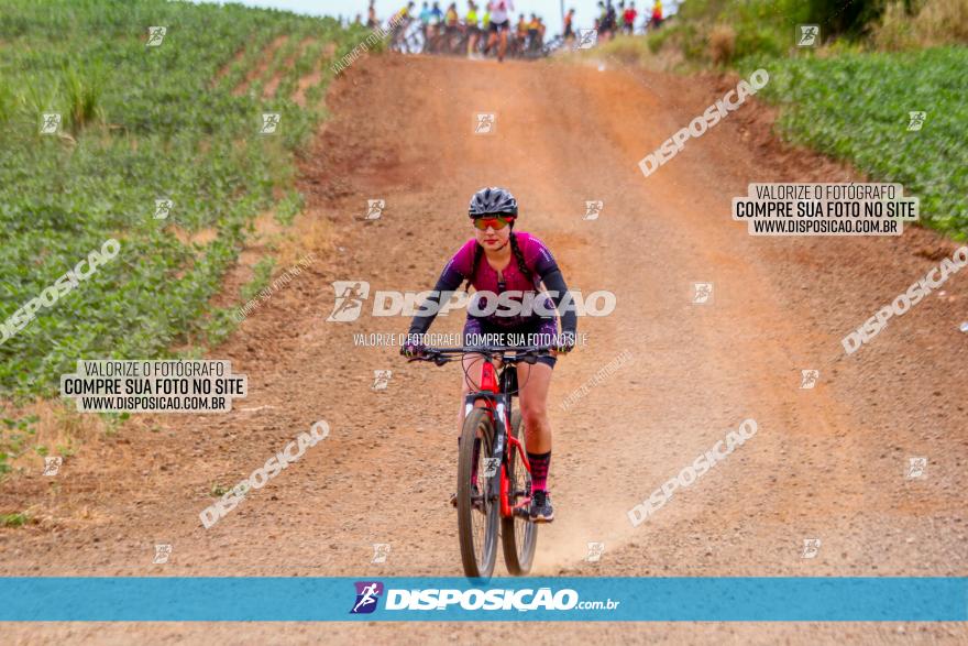 Circuito Jandaia 2021 - Edição Especial