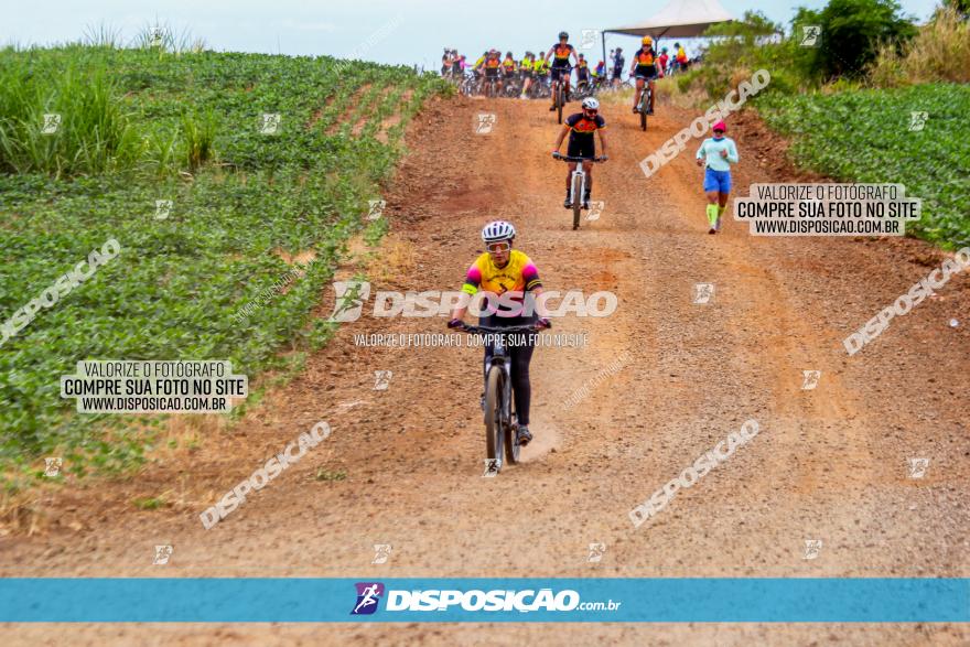 Circuito Jandaia 2021 - Edição Especial