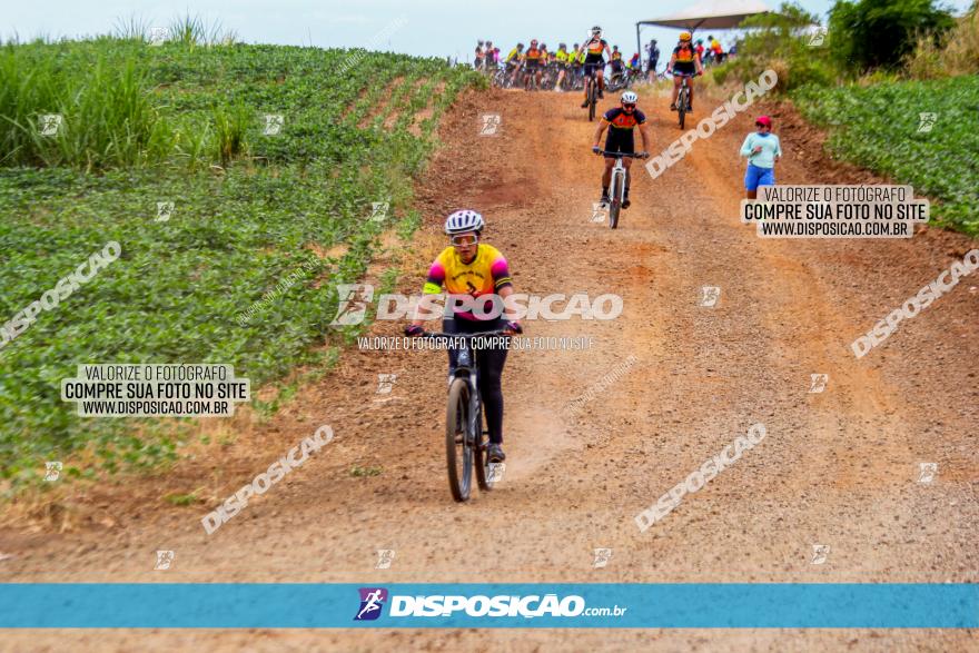 Circuito Jandaia 2021 - Edição Especial