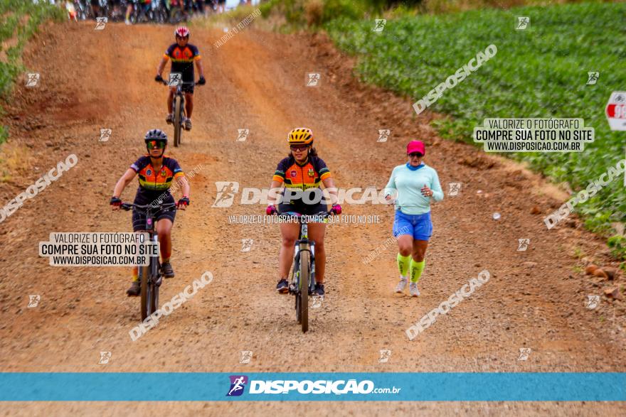 Circuito Jandaia 2021 - Edição Especial