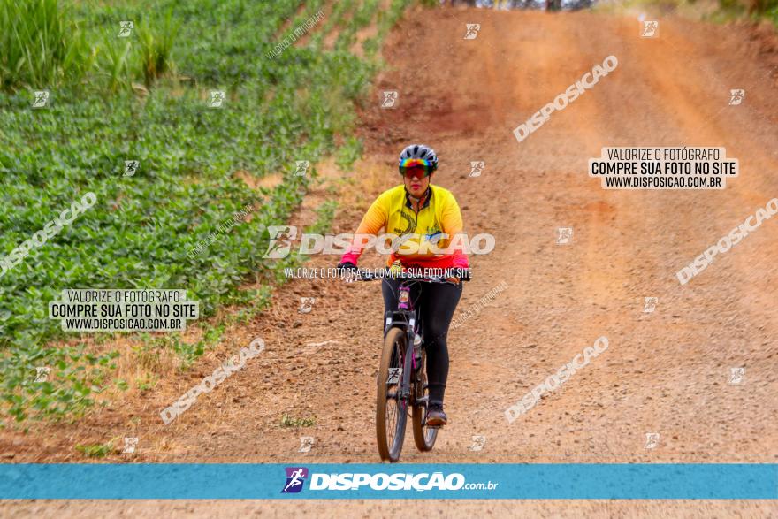 Circuito Jandaia 2021 - Edição Especial