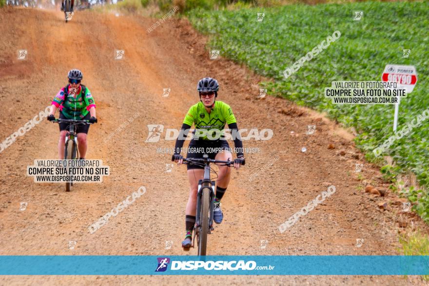 Circuito Jandaia 2021 - Edição Especial