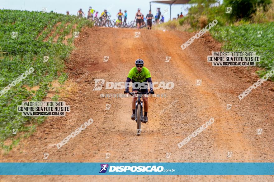 Circuito Jandaia 2021 - Edição Especial