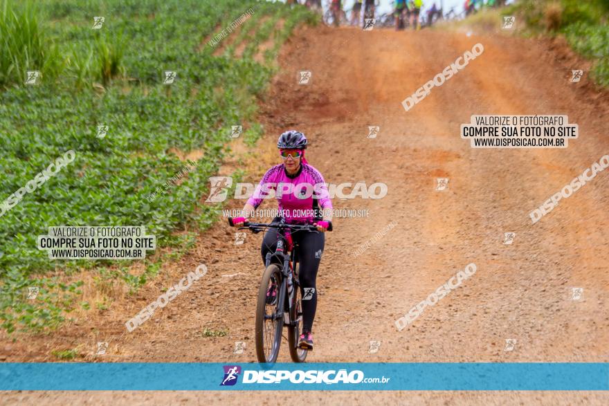 Circuito Jandaia 2021 - Edição Especial