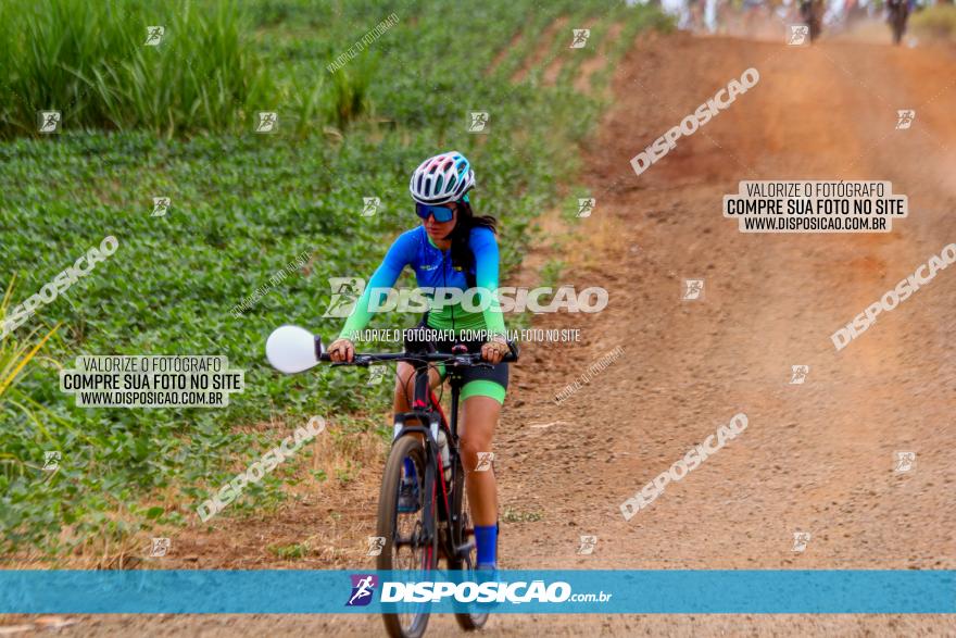 Circuito Jandaia 2021 - Edição Especial