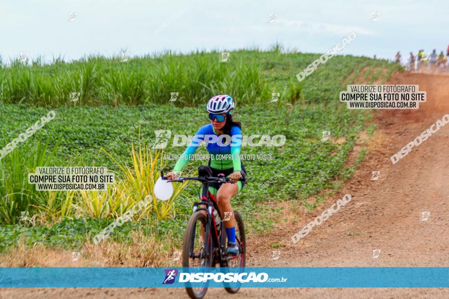 Circuito Jandaia 2021 - Edição Especial