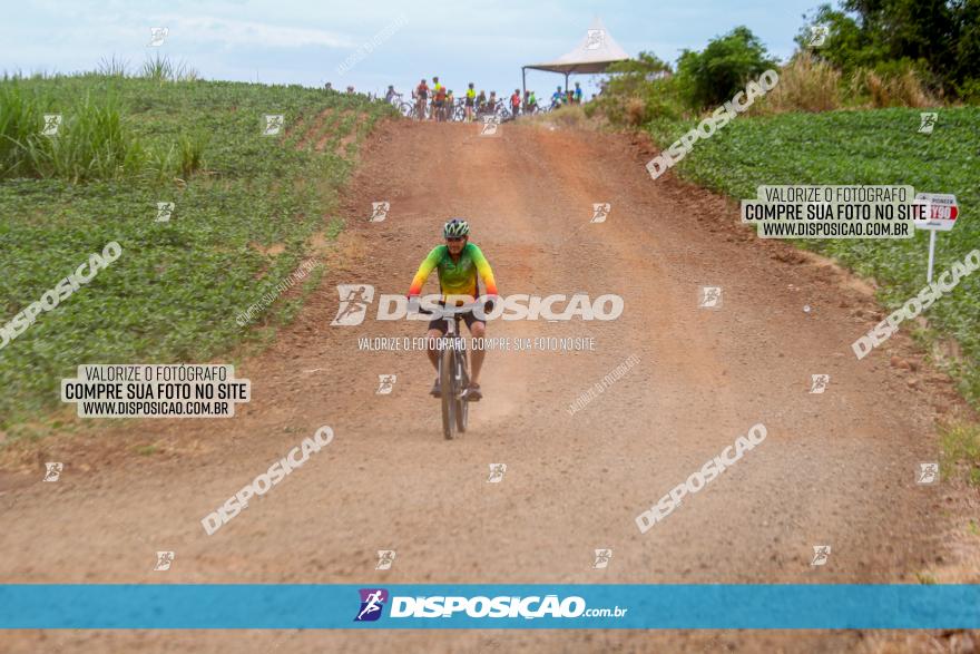 Circuito Jandaia 2021 - Edição Especial