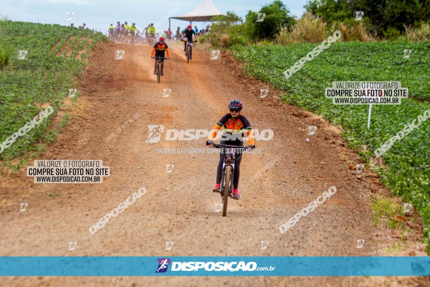 Circuito Jandaia 2021 - Edição Especial