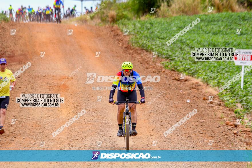 Circuito Jandaia 2021 - Edição Especial