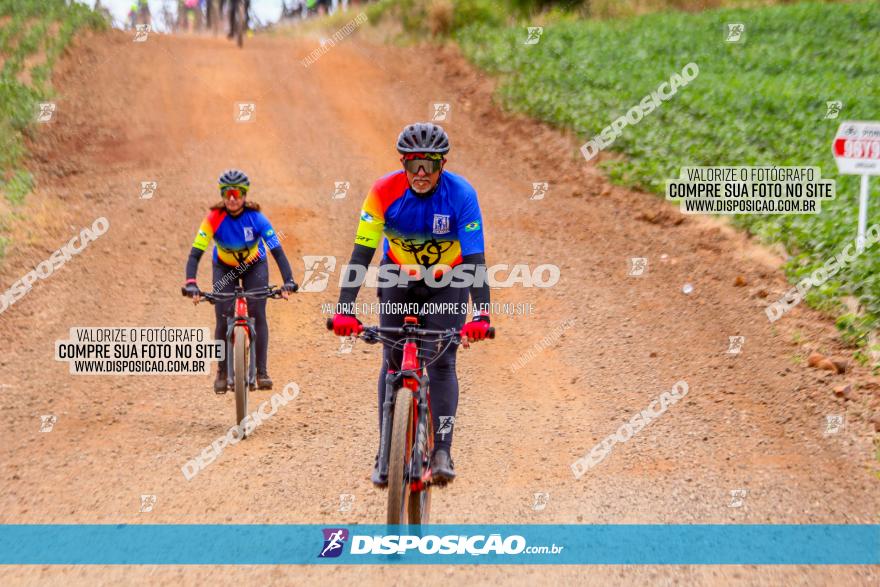 Circuito Jandaia 2021 - Edição Especial