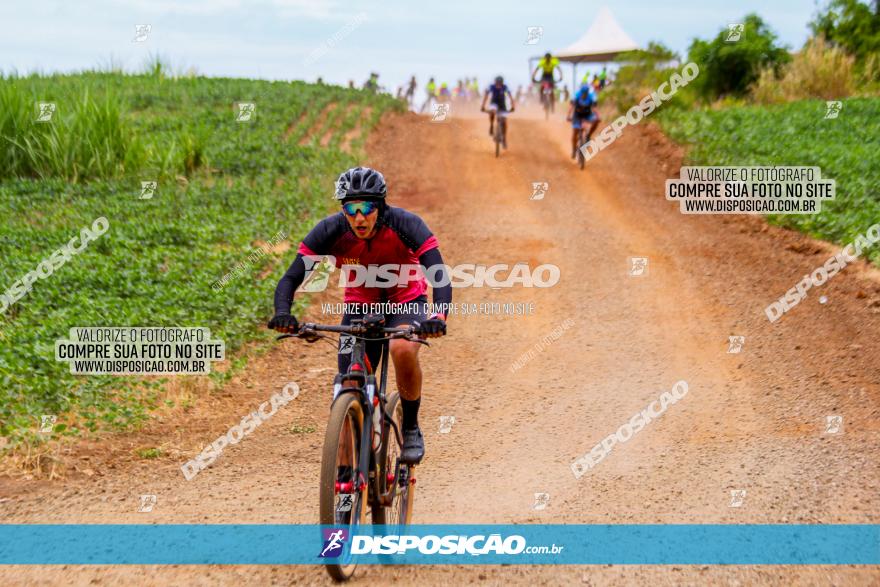 Circuito Jandaia 2021 - Edição Especial