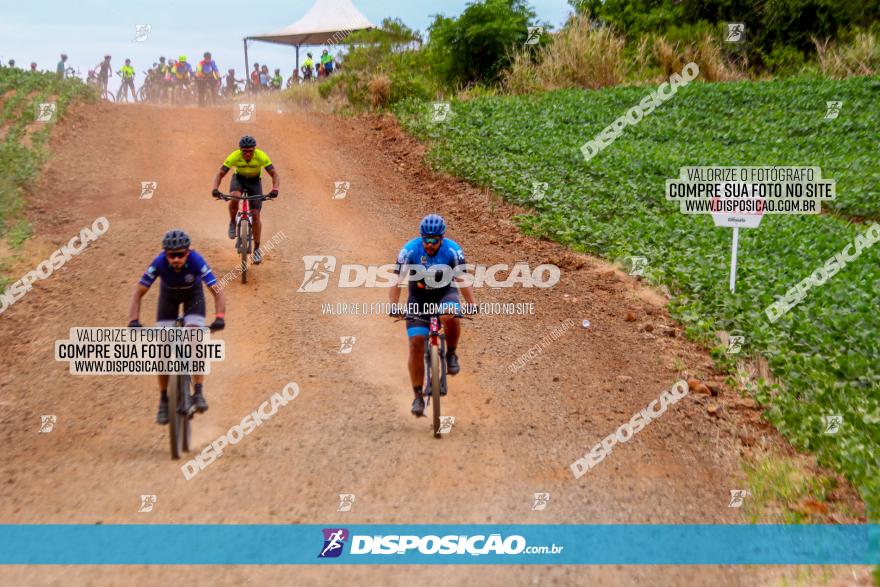 Circuito Jandaia 2021 - Edição Especial