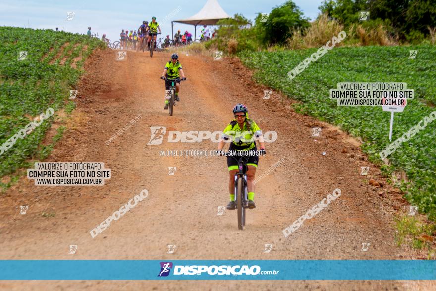 Circuito Jandaia 2021 - Edição Especial