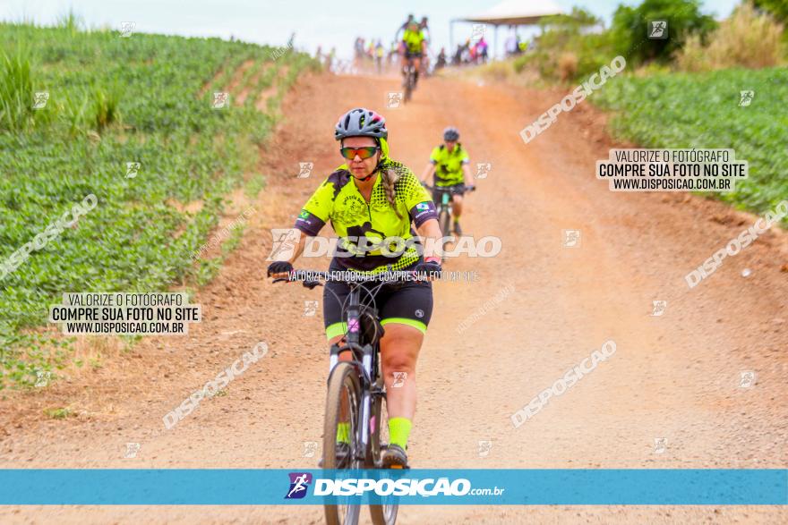 Circuito Jandaia 2021 - Edição Especial