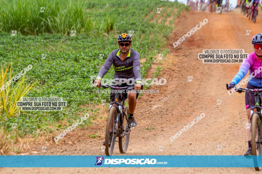 Circuito Jandaia 2021 - Edição Especial