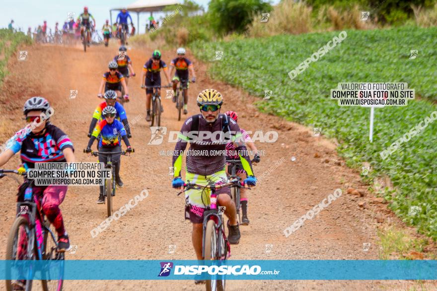 Circuito Jandaia 2021 - Edição Especial