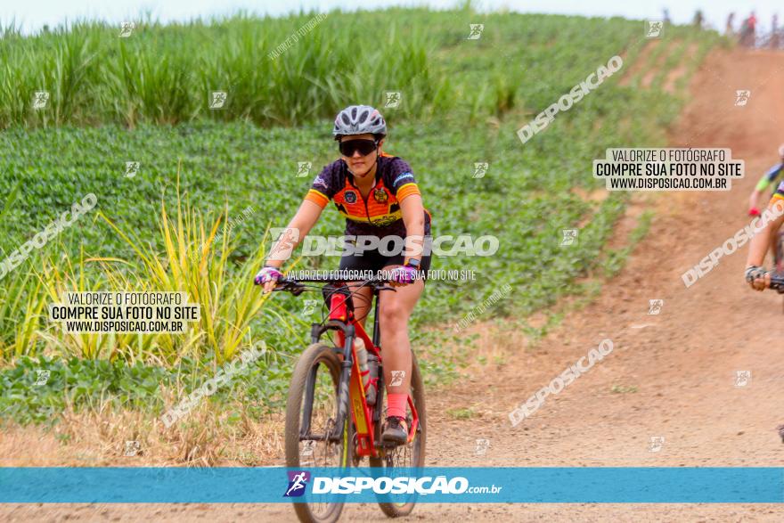 Circuito Jandaia 2021 - Edição Especial