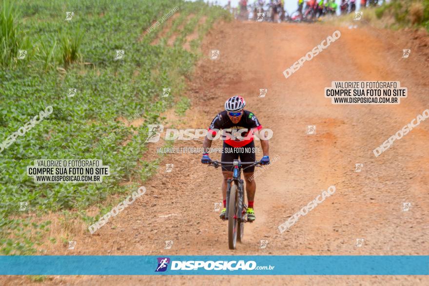 Circuito Jandaia 2021 - Edição Especial