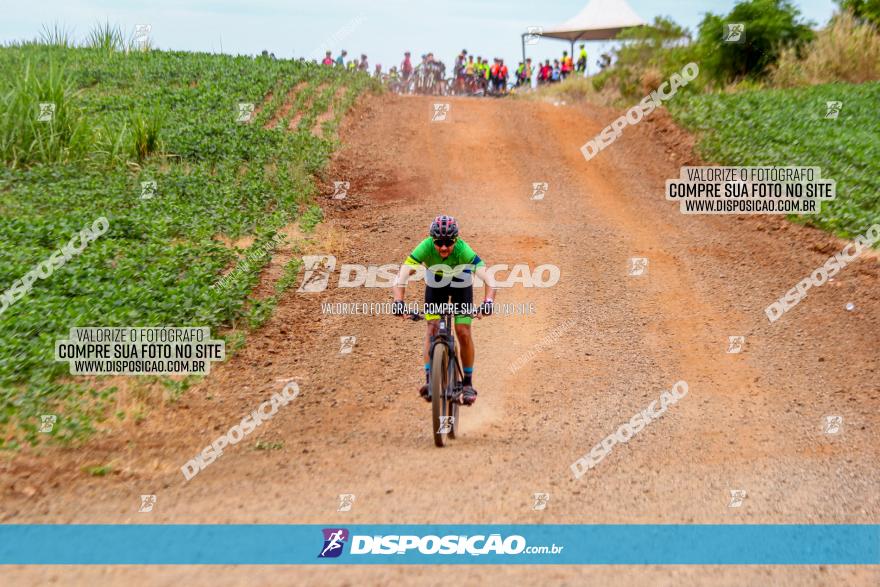 Circuito Jandaia 2021 - Edição Especial