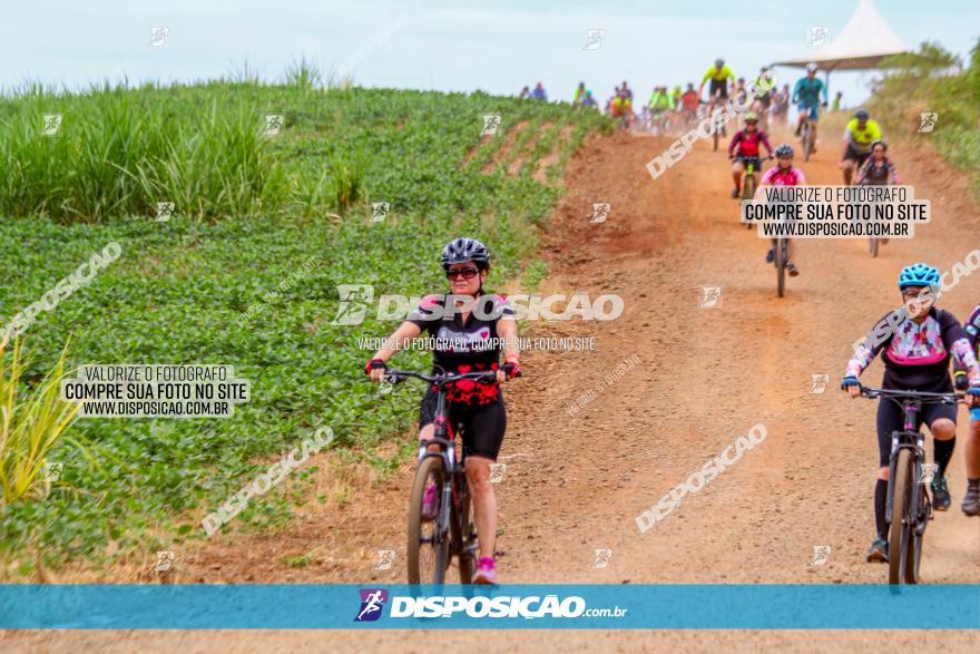 Circuito Jandaia 2021 - Edição Especial