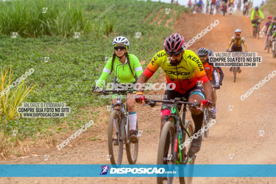 Circuito Jandaia 2021 - Edição Especial