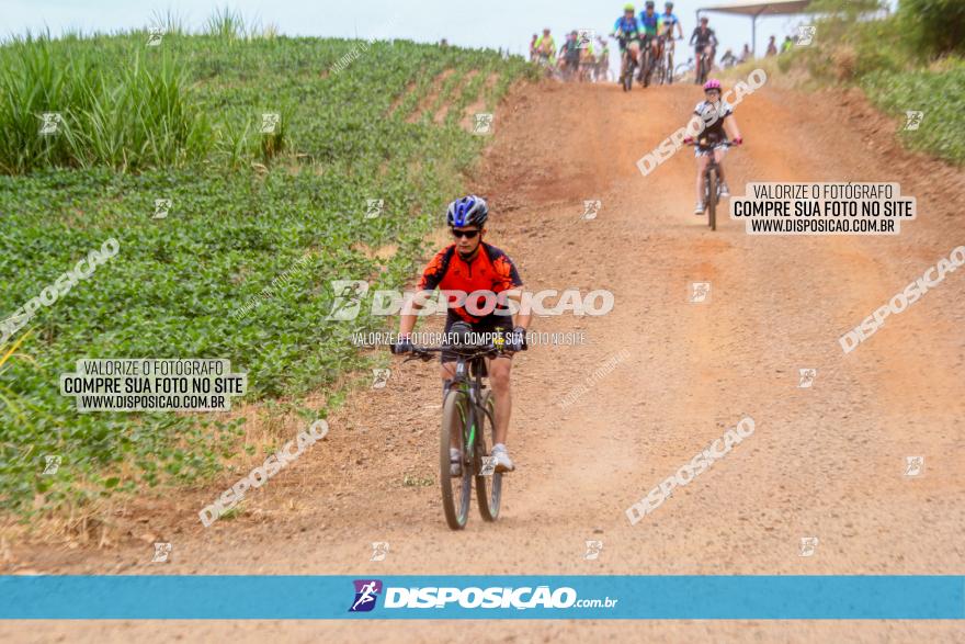 Circuito Jandaia 2021 - Edição Especial