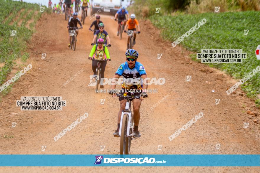 Circuito Jandaia 2021 - Edição Especial