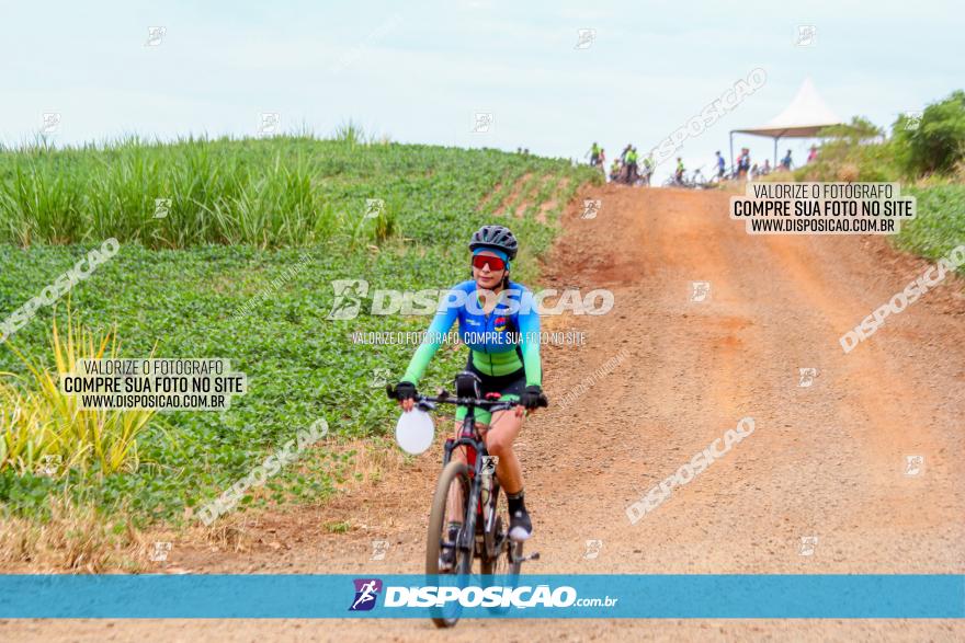 Circuito Jandaia 2021 - Edição Especial