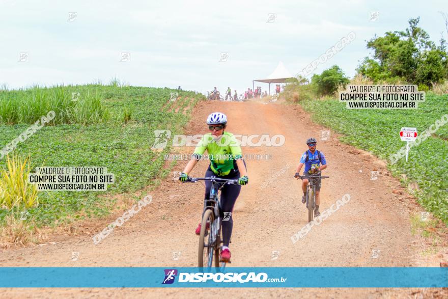 Circuito Jandaia 2021 - Edição Especial