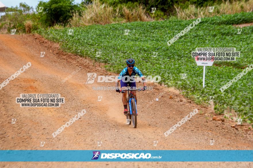 Circuito Jandaia 2021 - Edição Especial